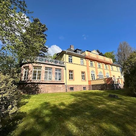 Panorama Penthouse In Wunderschoener Villa كاسيل المظهر الخارجي الصورة
