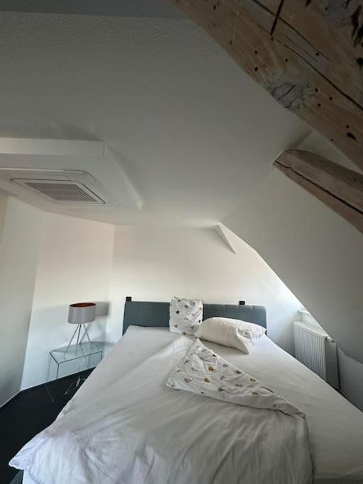 Panorama Penthouse In Wunderschoener Villa كاسيل المظهر الخارجي الصورة