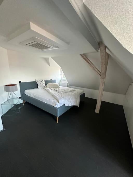 Panorama Penthouse In Wunderschoener Villa كاسيل المظهر الخارجي الصورة